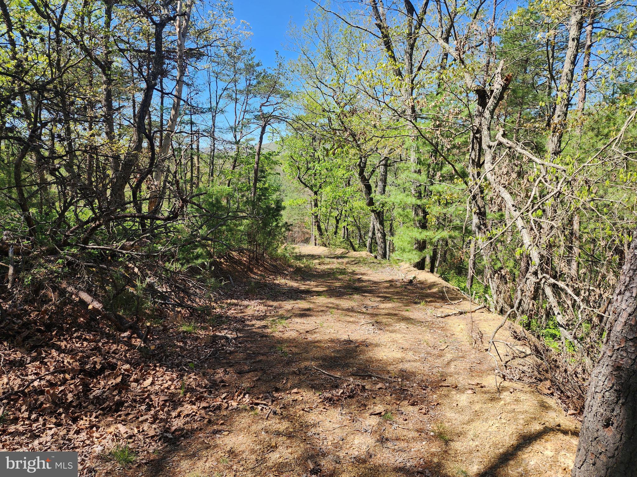 POTOMAC VALLEY OVERLOOK - Land