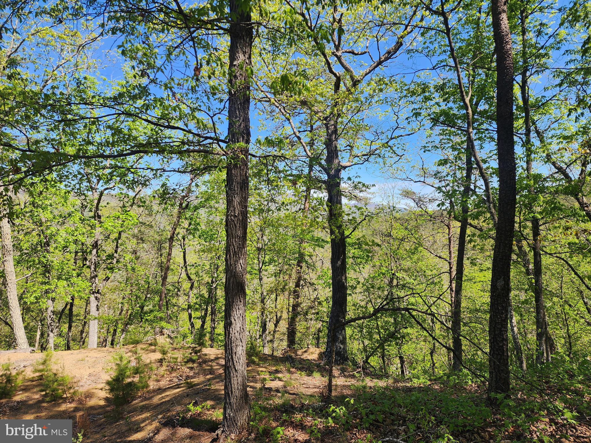 POTOMAC VALLEY OVERLOOK - Land