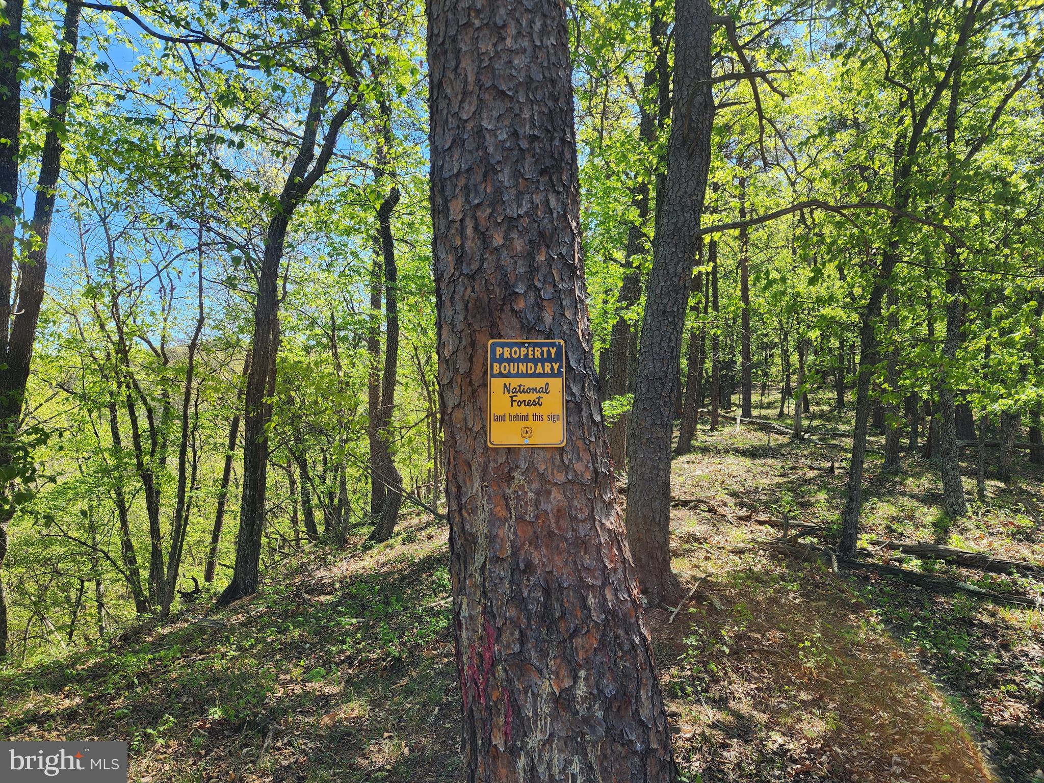 POTOMAC VALLEY OVERLOOK - Land