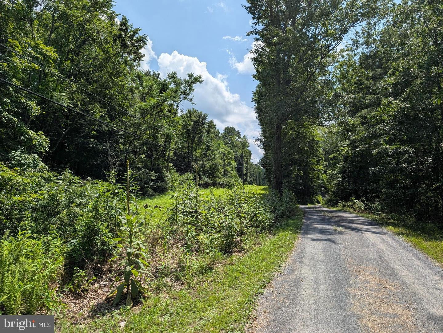 GRASSHOPPER HOLLOW/SIR JOHN'S RUN P/O PAR 32