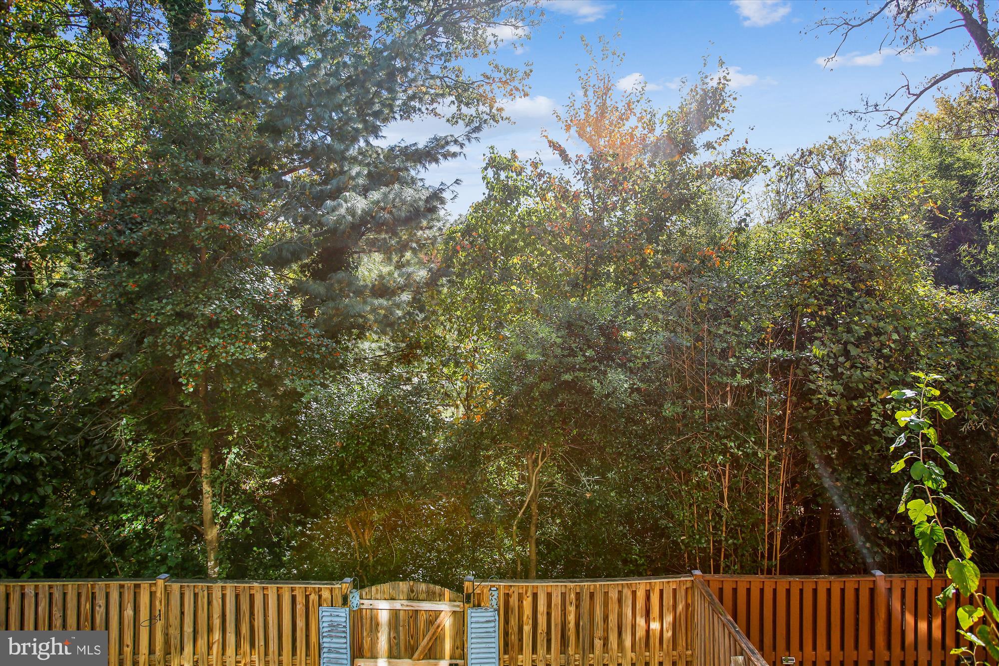 ELMWOOD - Residential