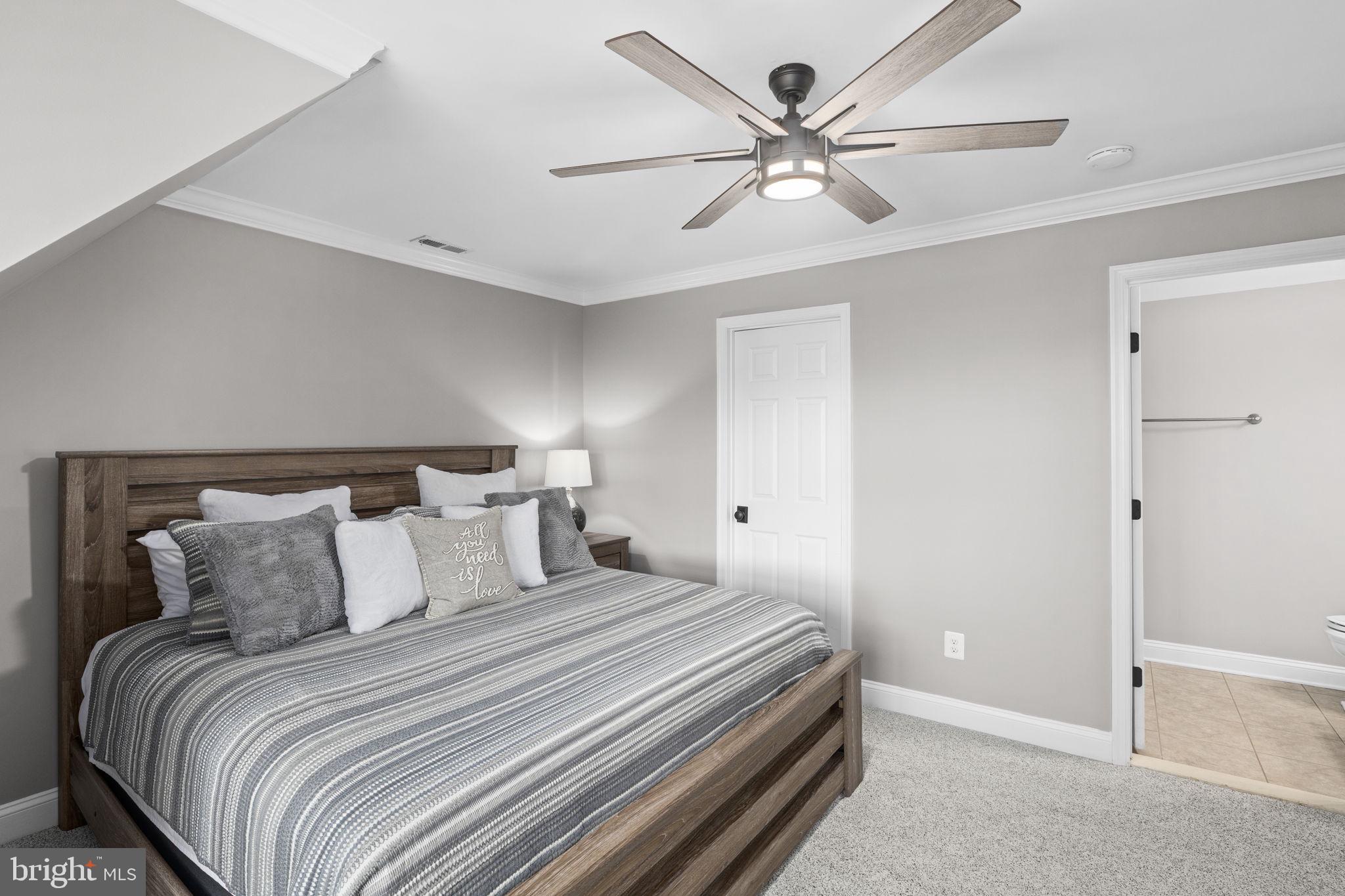 CUCKOO'S NEST - Residential