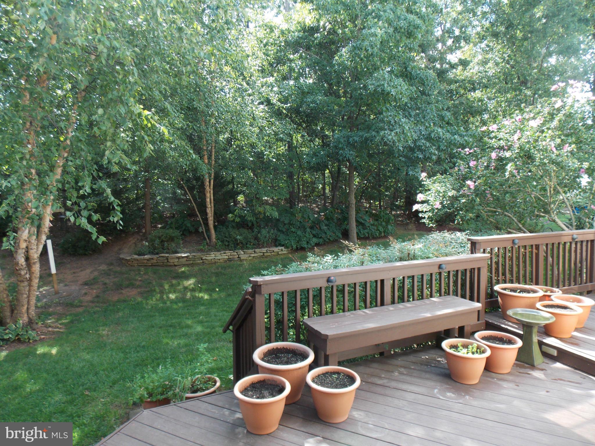 ASHBURN VILLAGE - Residential