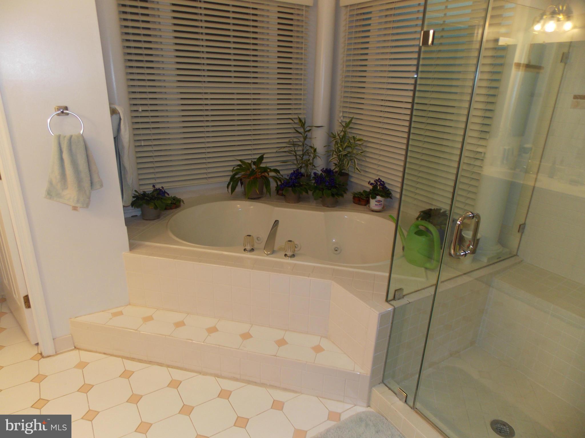 ASHBURN VILLAGE - Residential