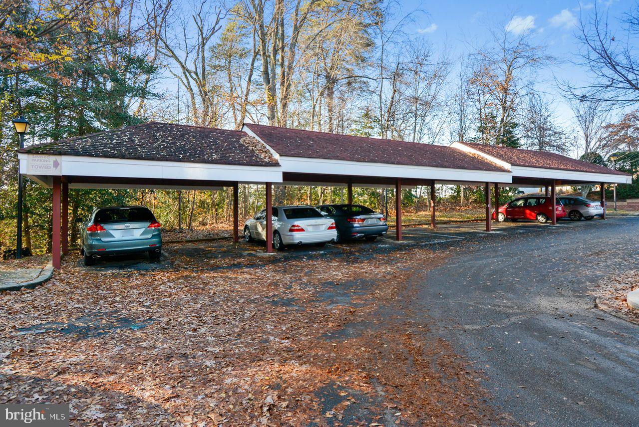 MCKINSEY PARK - Residential