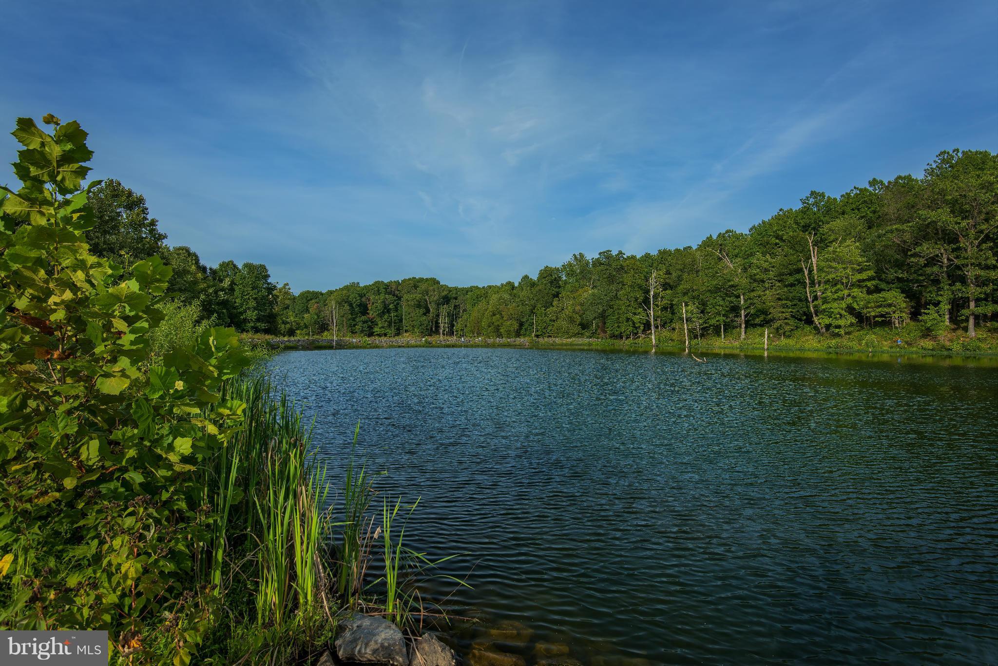 CABIN BRANCH - Residential