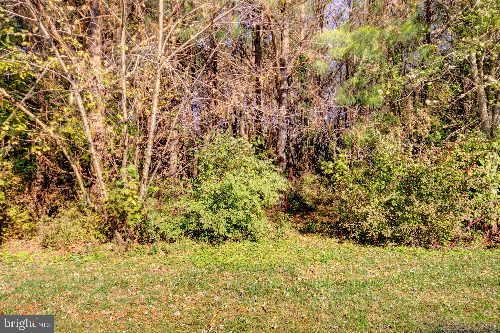 AVALON RETIREMENT COMM - Residential