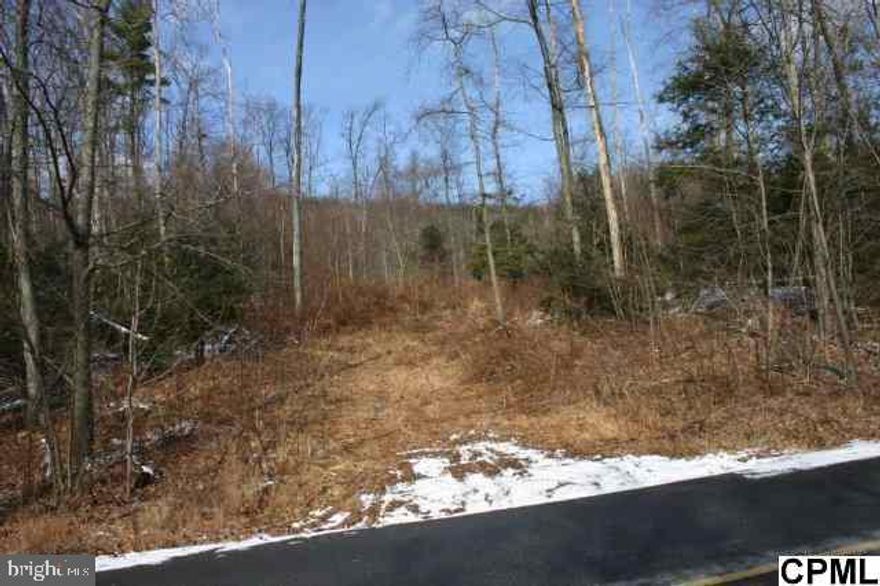 Come build your dream home on this fabulous lot near tha bottom of the Blue Mountain just minutes from Penn National and Hollywood Casino. Close commute to Hershey, Harrisburg & Fort Indiantown Gap. Sellers will pay for perc and probe.