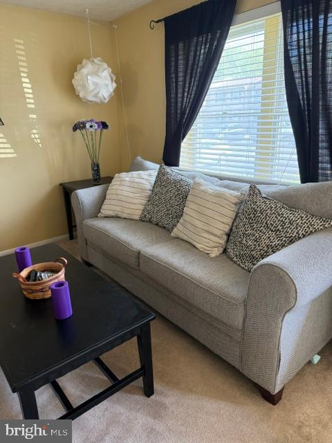 WOODS EDGE TOWNHOME CONDOMINIUMS - Residential