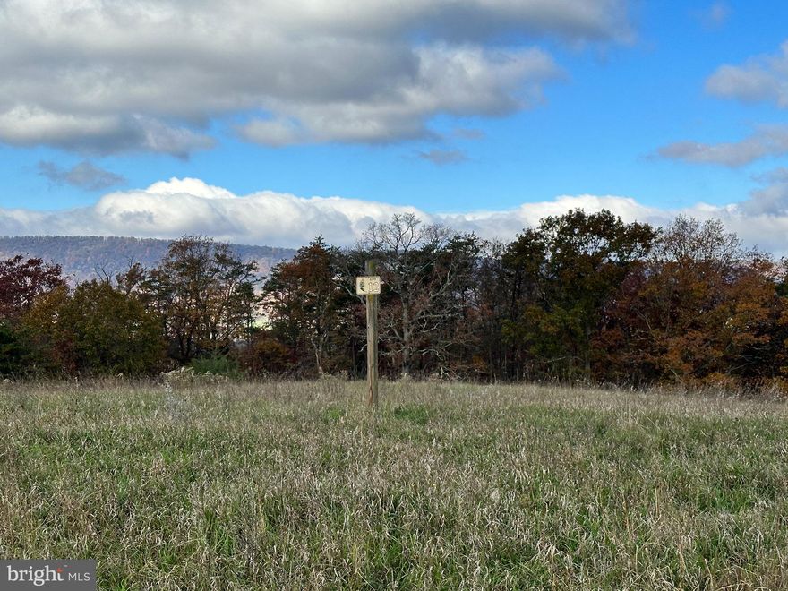 LOOKING FOR THE PERFECT BUILDING SITE?  NICE LEVEL BUILDING LOT CENTRALLY LOCATED BETWEEN KEYSER AND FORT ASHBY.  WELL ESTABLISHED SUBDIVISION. WONDERFUL MOUNTAIN AND PASTORIAL VISTAS CONVEY! SENSIBLE  COVENANTS TO PROTECT YOUR INVESTMENT. YEAR ROUND MAINTAINED ROADS. PUBLIC WATER WILL BE AVAILABLE SOON.  ROAD FRONTAGE ON 2 ROADS. GENTLY SLOPED TO LEVEL LOT. SEVERAL BUILDING SITES TO CHOOSE FROM. PRIVACY FOLLAGE IN REAR OF LOT.