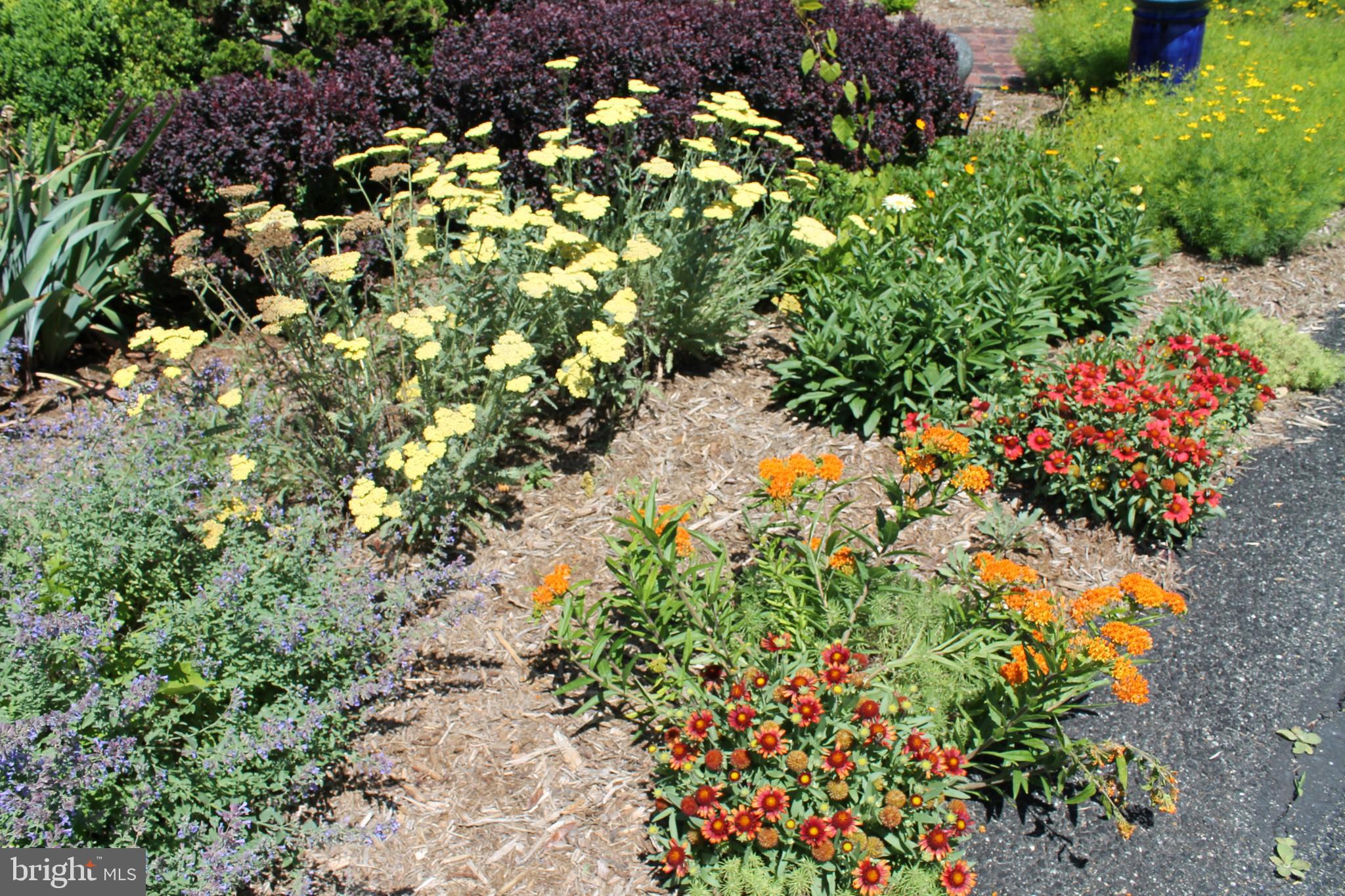 NOMINI BAY FARMS - Residential