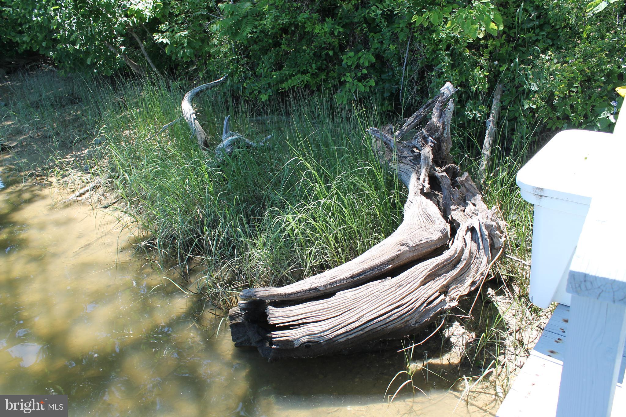 NOMINI BAY FARMS - Residential