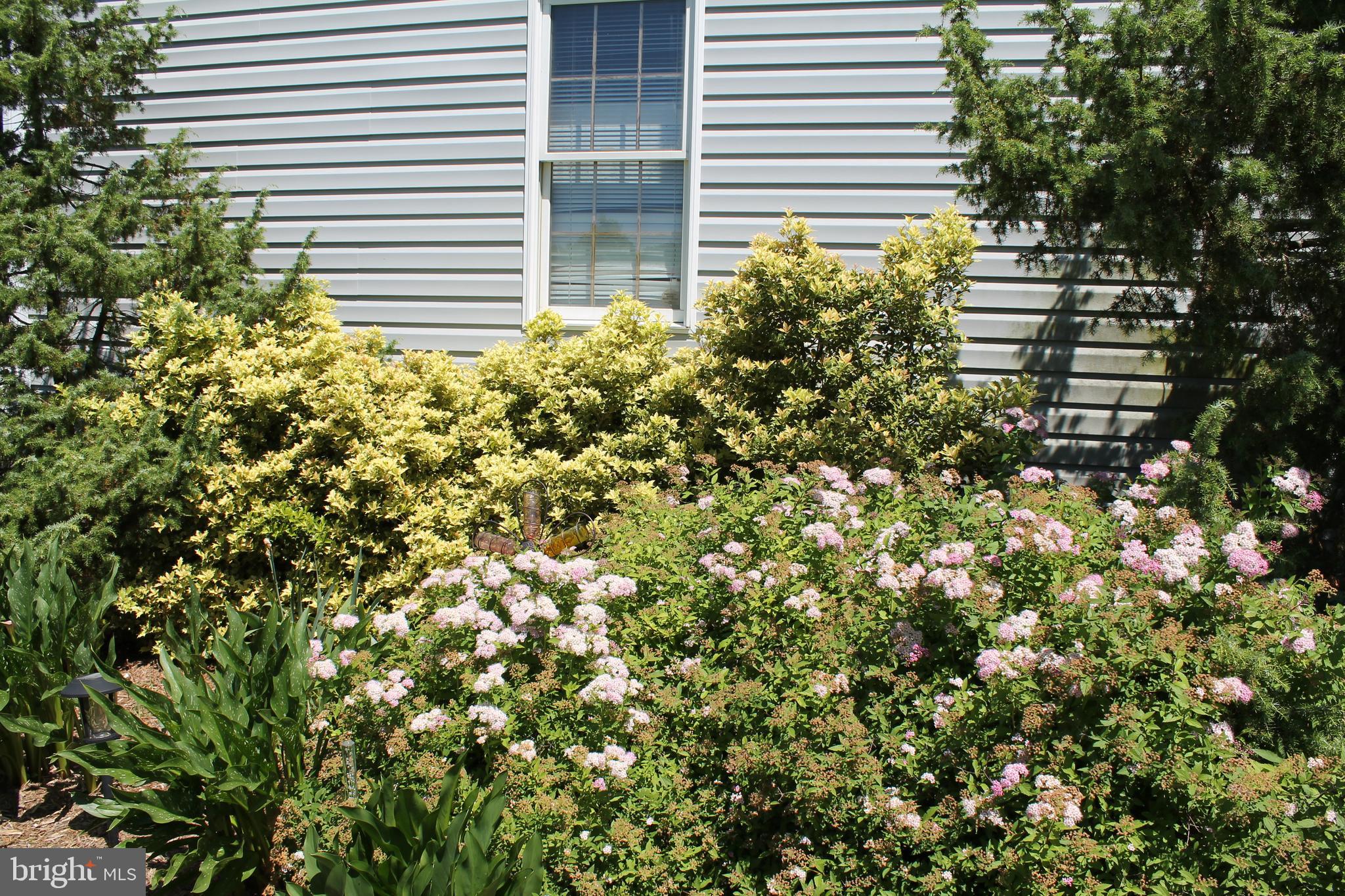 NOMINI BAY FARMS - Residential