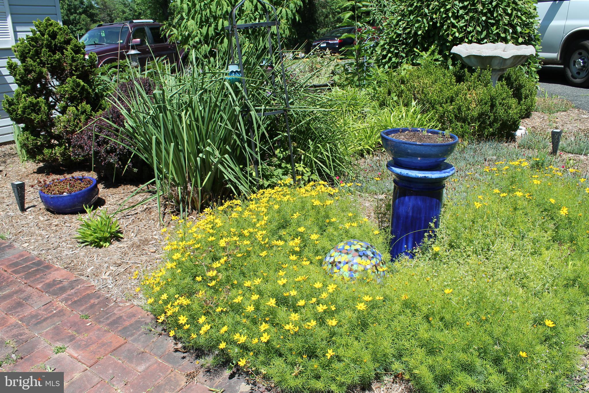 NOMINI BAY FARMS - Residential