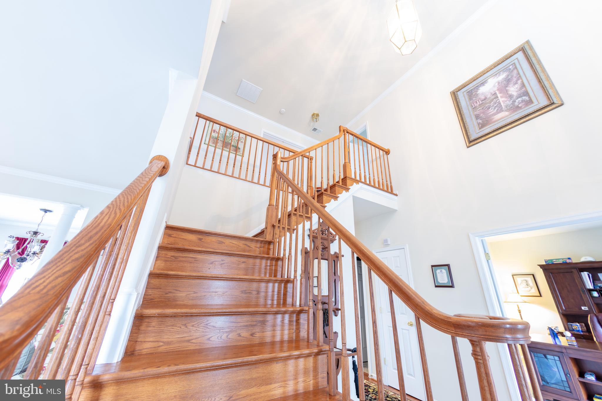 SPRUCE HILL ESTATES - Residential