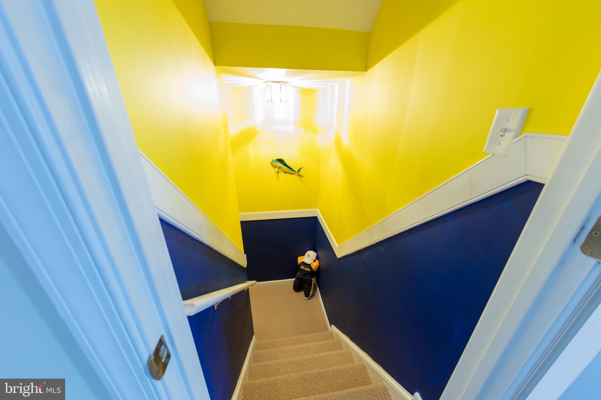 SPRUCE HILL ESTATES - Residential