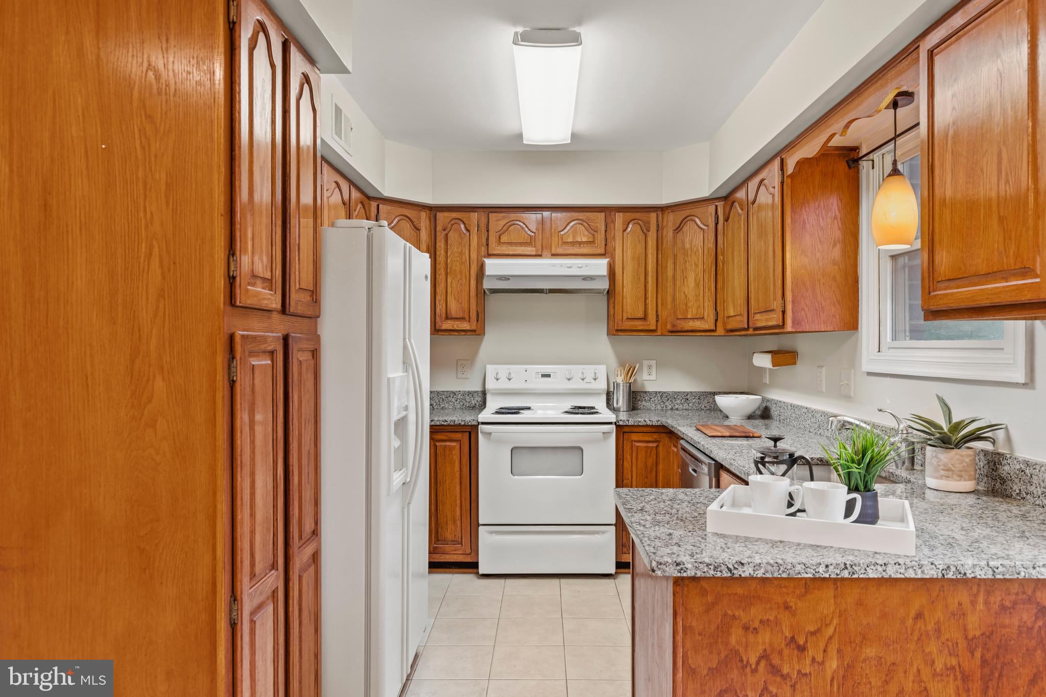 OAKTON VILLAGE - Residential