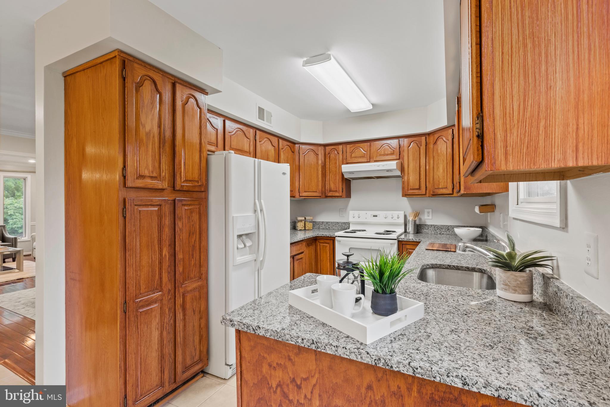 OAKTON VILLAGE - Residential