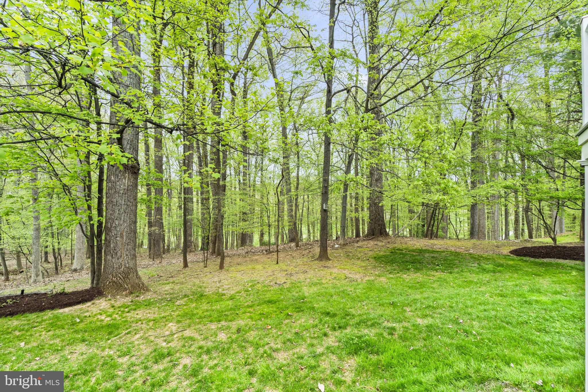 AVENEL - Residential