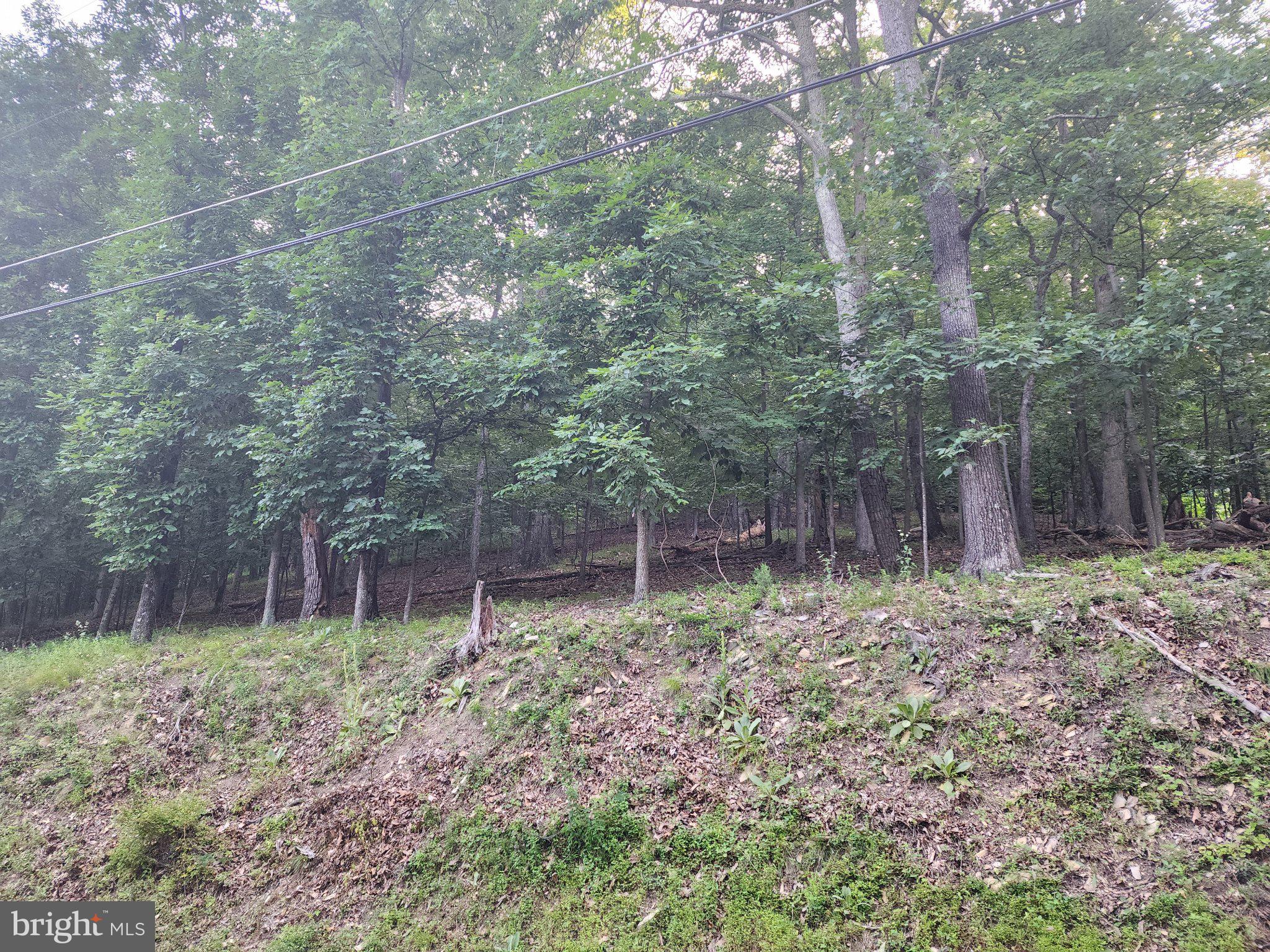 1881 RIDGE ROAD