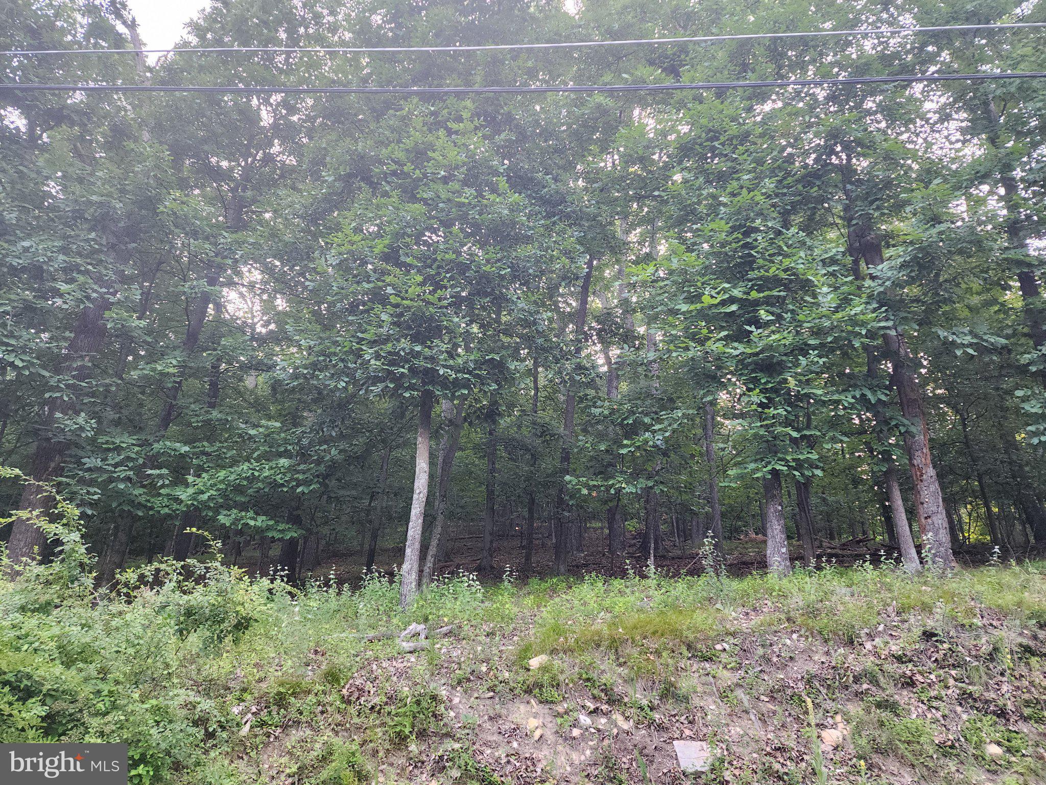 1881 RIDGE ROAD