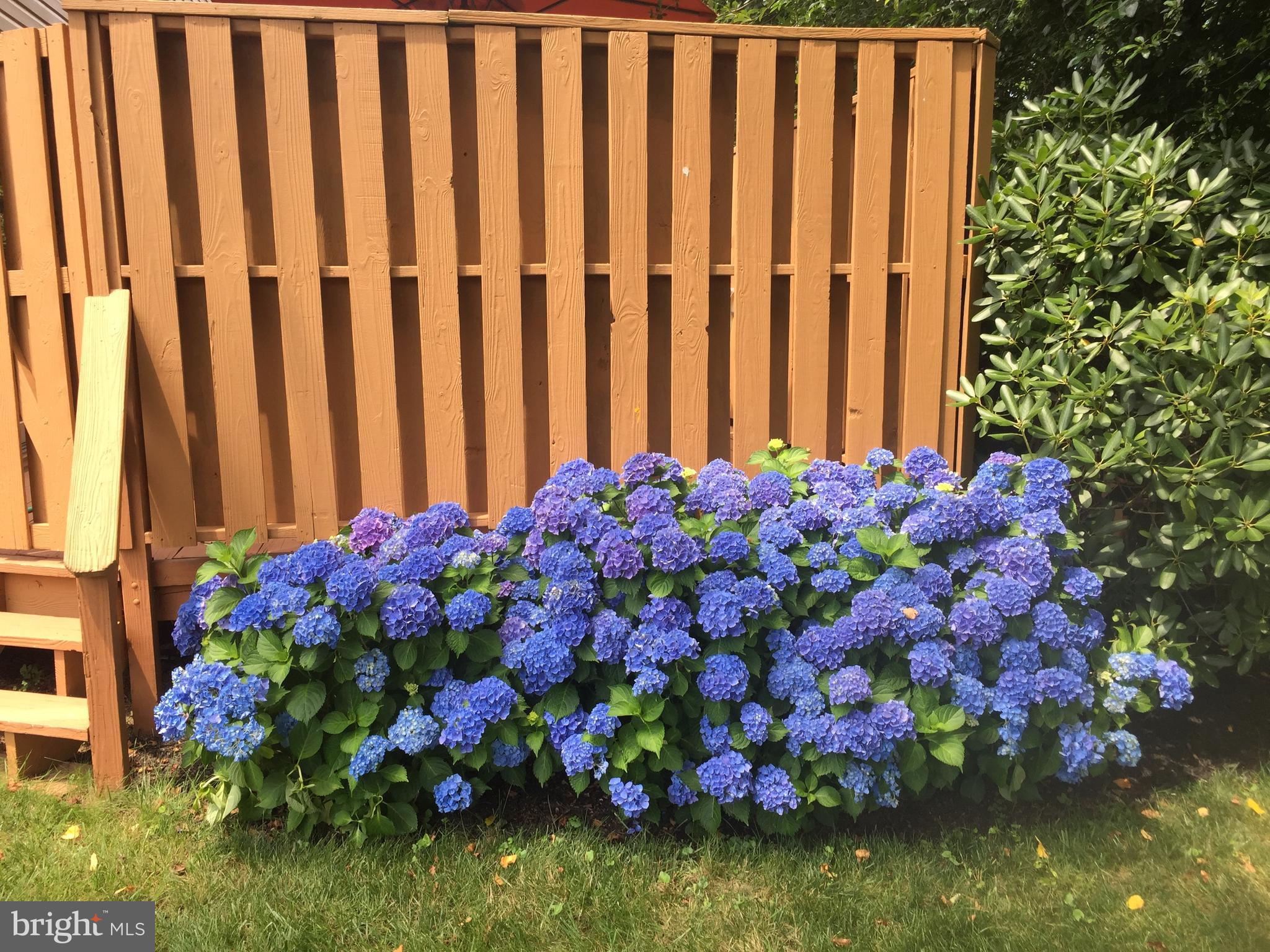 VALLEY MEDE - Residential