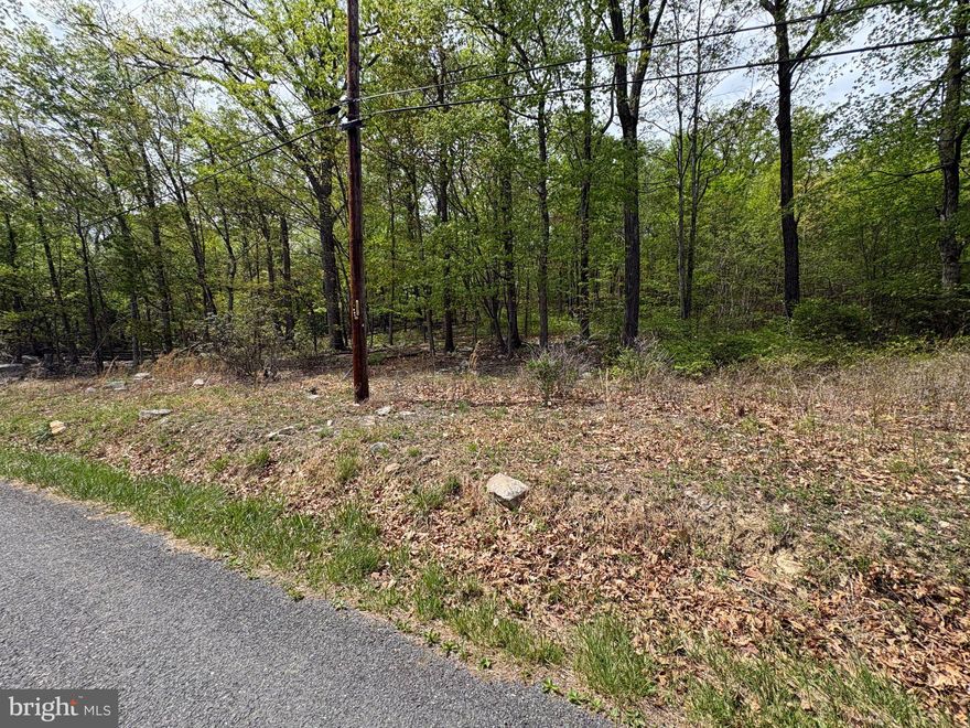 Welcome to Shawneeland.   Large .62 acre Lot. Want More?  Also For Sale Connected Lot 37(w/ Cert Letter) & Lot 38 offering multiple purchase options. See MLS VAFV2041026 & VAFV2040980                              
A Scenic Maintained Mountain Community, enjoy the amenities, lake with beach area & boat entrance, 4 fishing pond areas, streams,  Large & small recreational park areas with playgrounds & Picnic pavilion, baseball field, basketball hoops, School bus shelters & lighted mail box pavilions. Hard top roads and year round maintenance. No HOA, Sanitary District $195 per year and is included in the real estate tax bill. Shawneeland is your option to live quiet & rural, with a short distance to Schools, Shopping, Hospital and Downtown Winchester