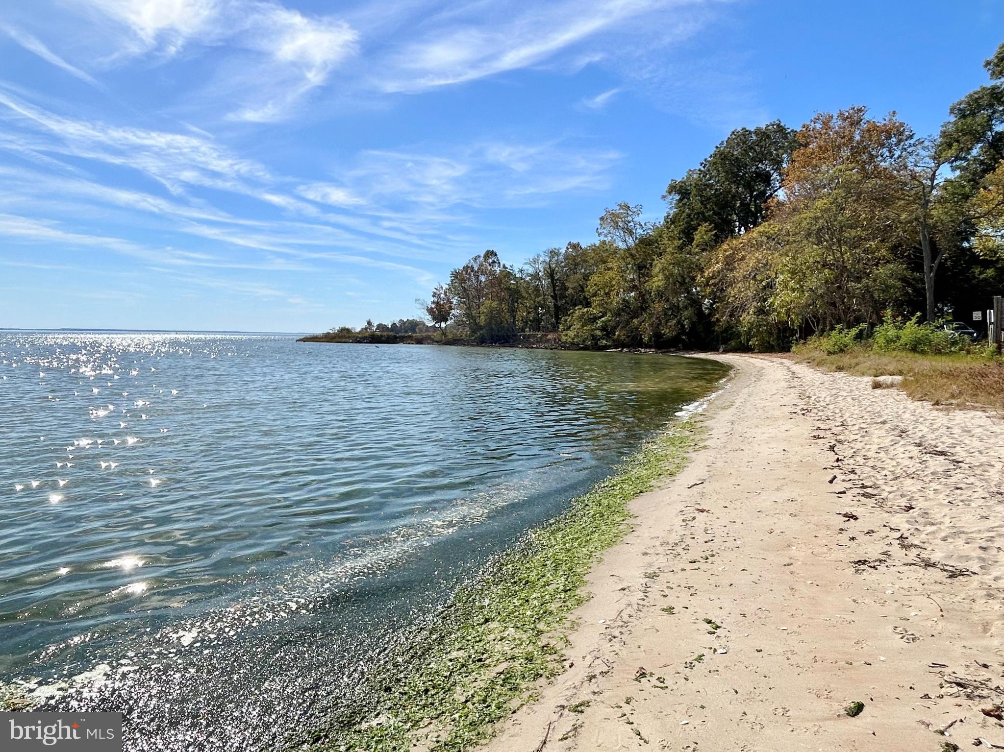 BELLEVUE - Residential