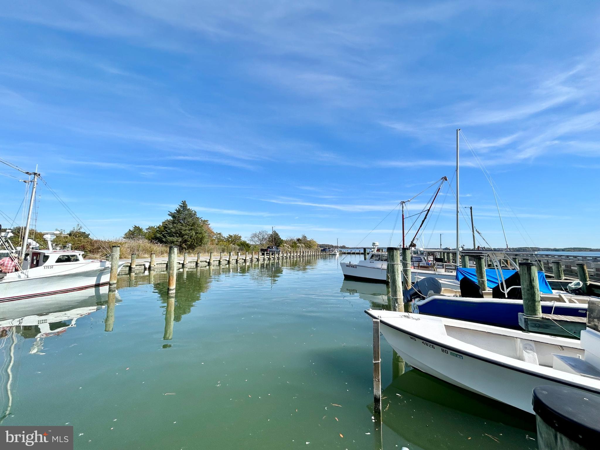 BELLEVUE - Residential