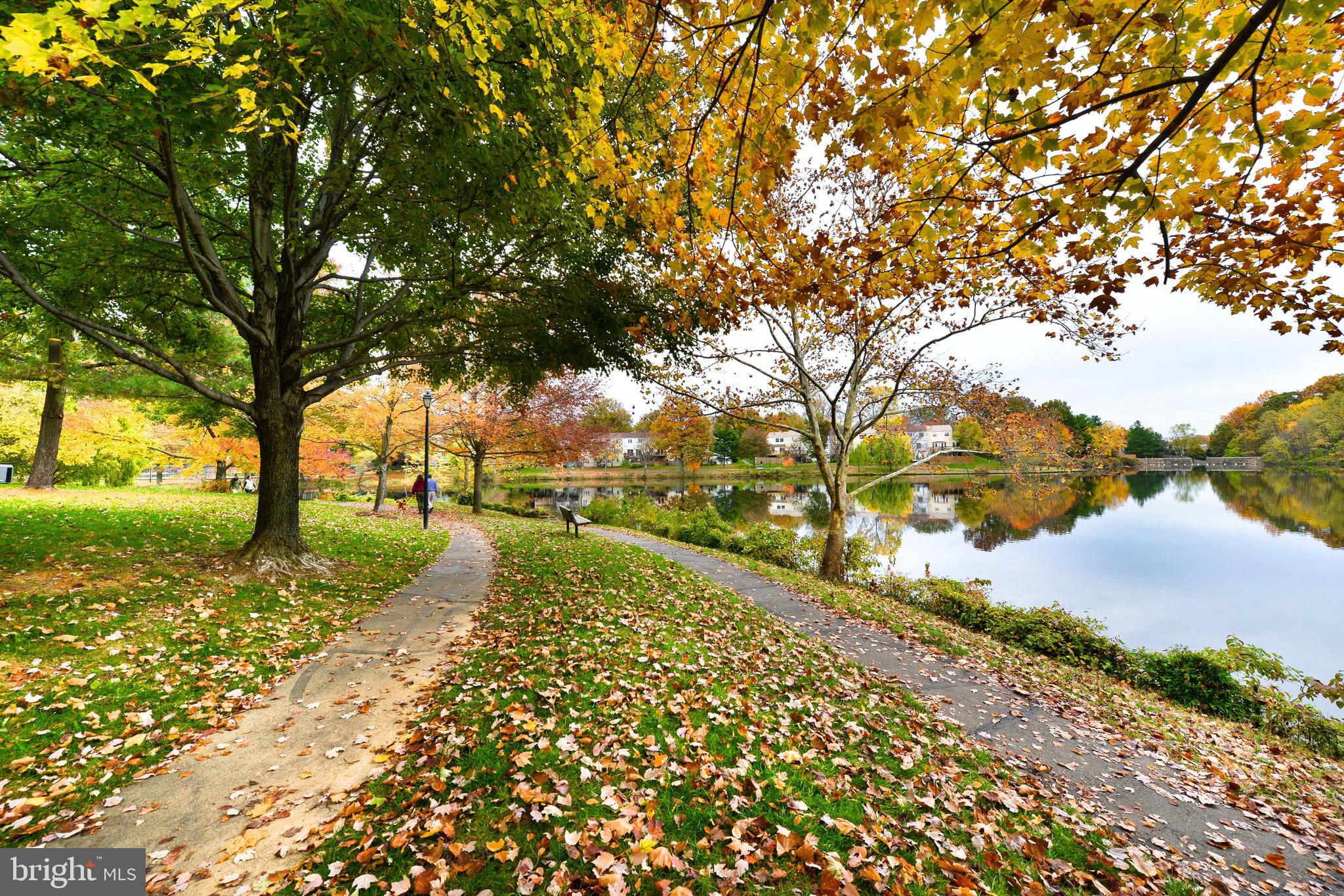 LAKEFORD - Residential Lease