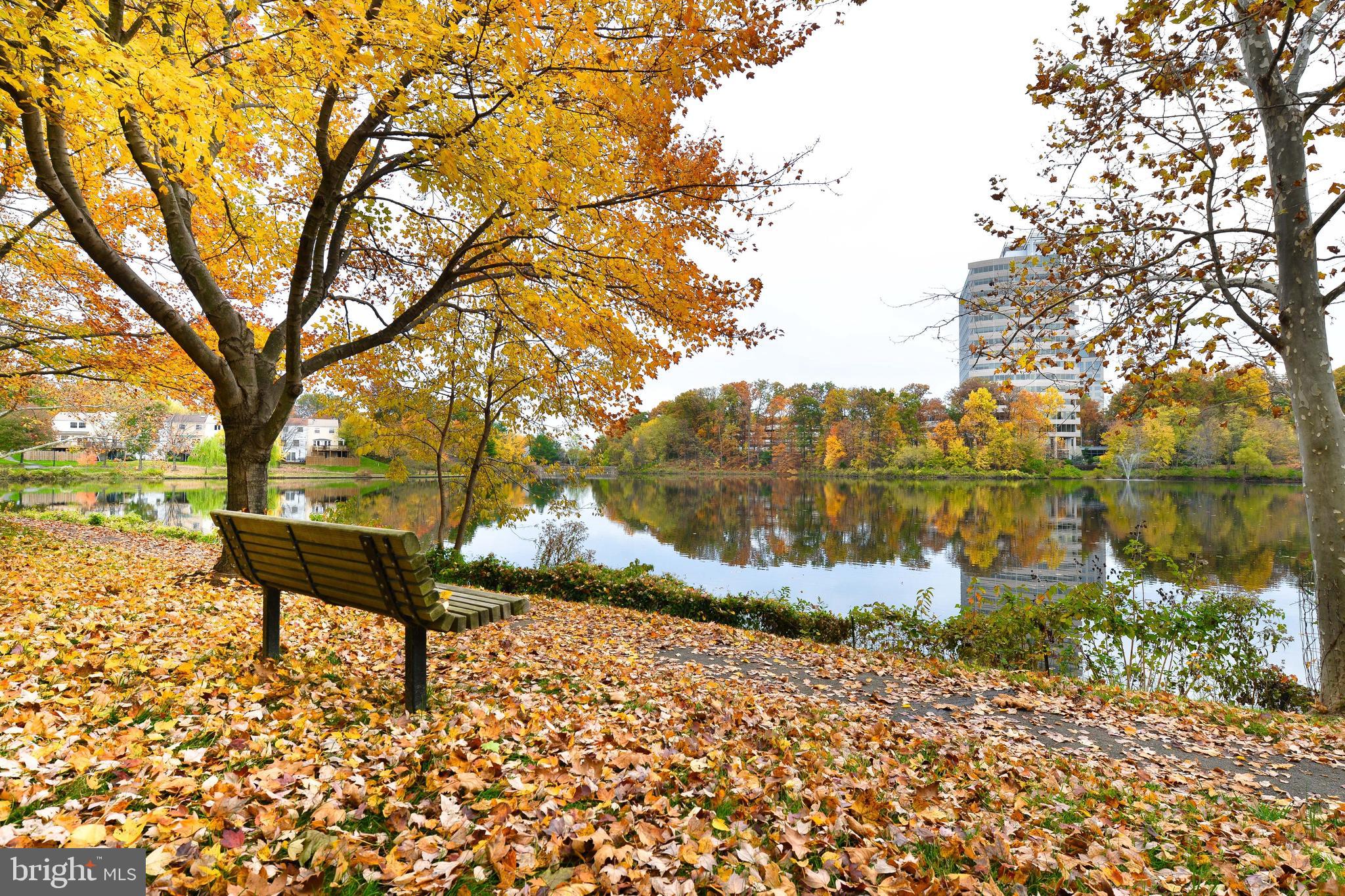 LAKEFORD - Residential Lease