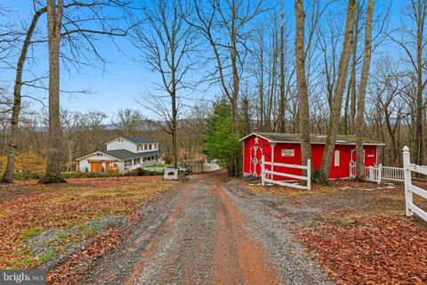 Homes For Sale - 236 Kump Drive<br/> GORE, VA 22637