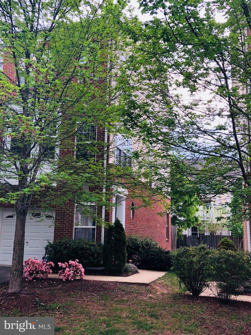 BELMONT LAND BAY - Residential Lease