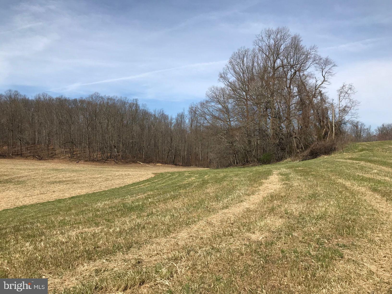 UPPER MARLBORO - Land