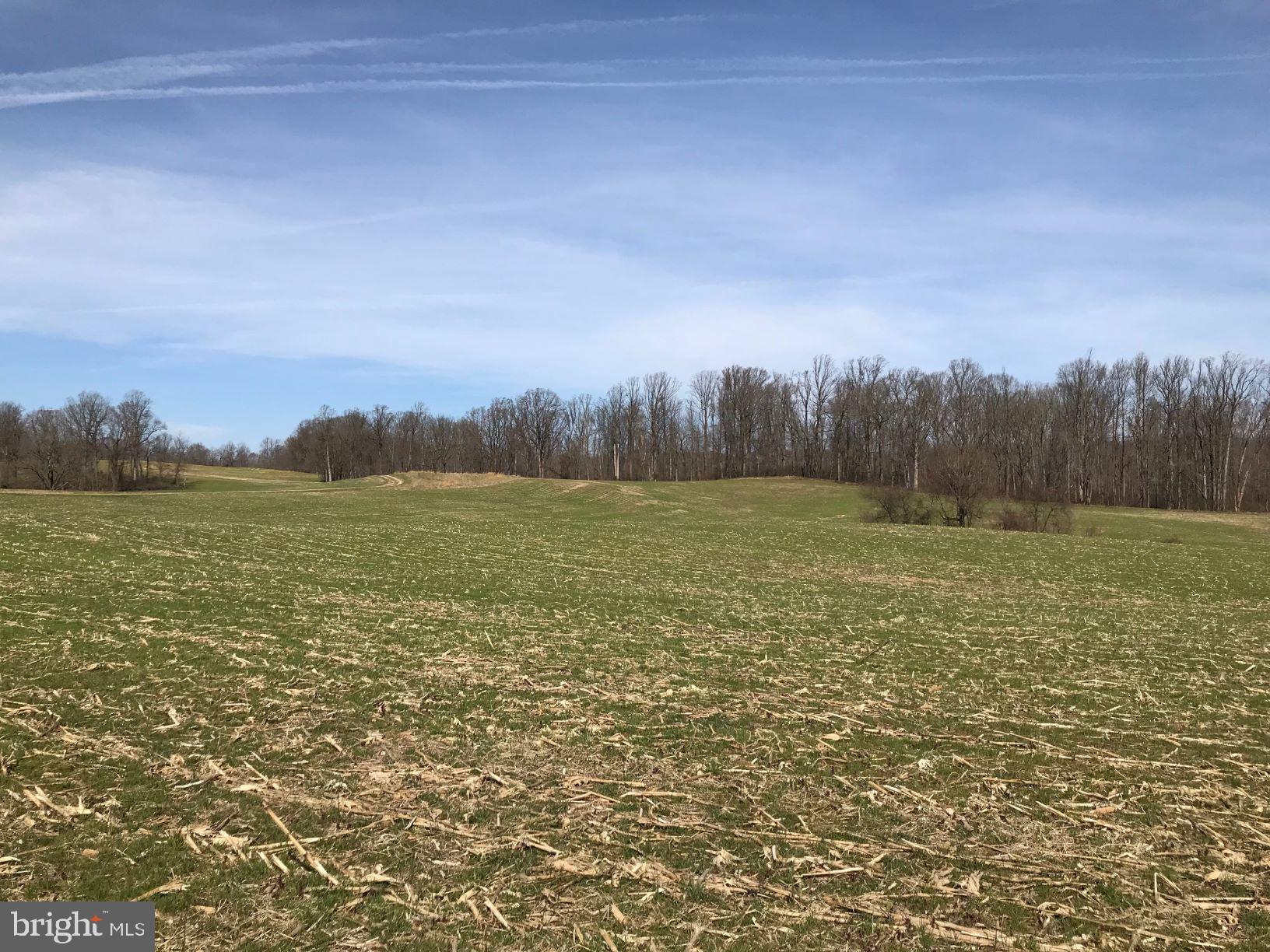 UPPER MARLBORO - Land