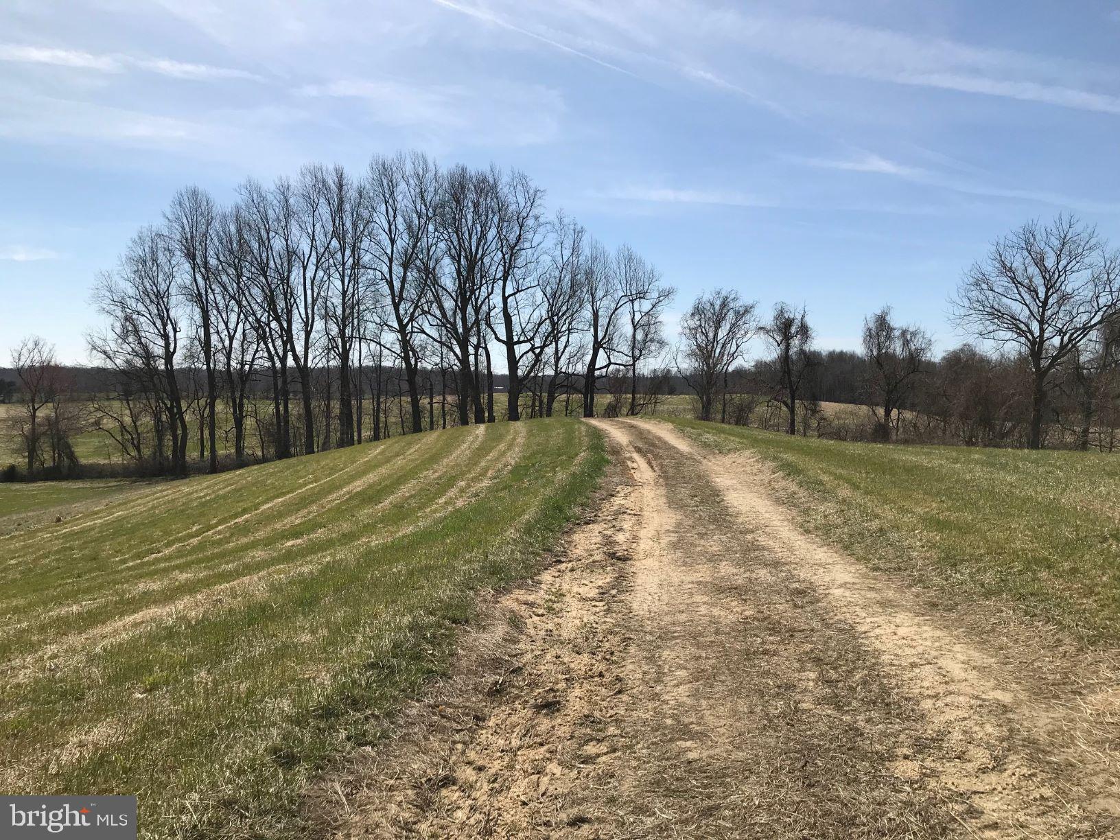 UPPER MARLBORO - Land