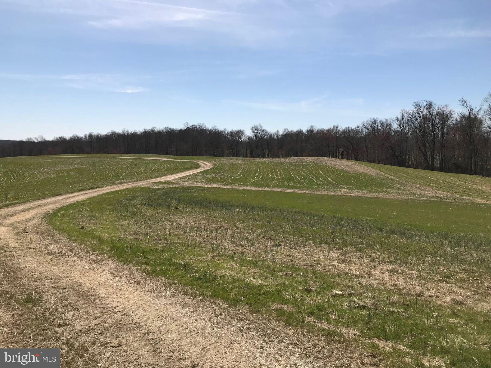 UPPER MARLBORO - Land