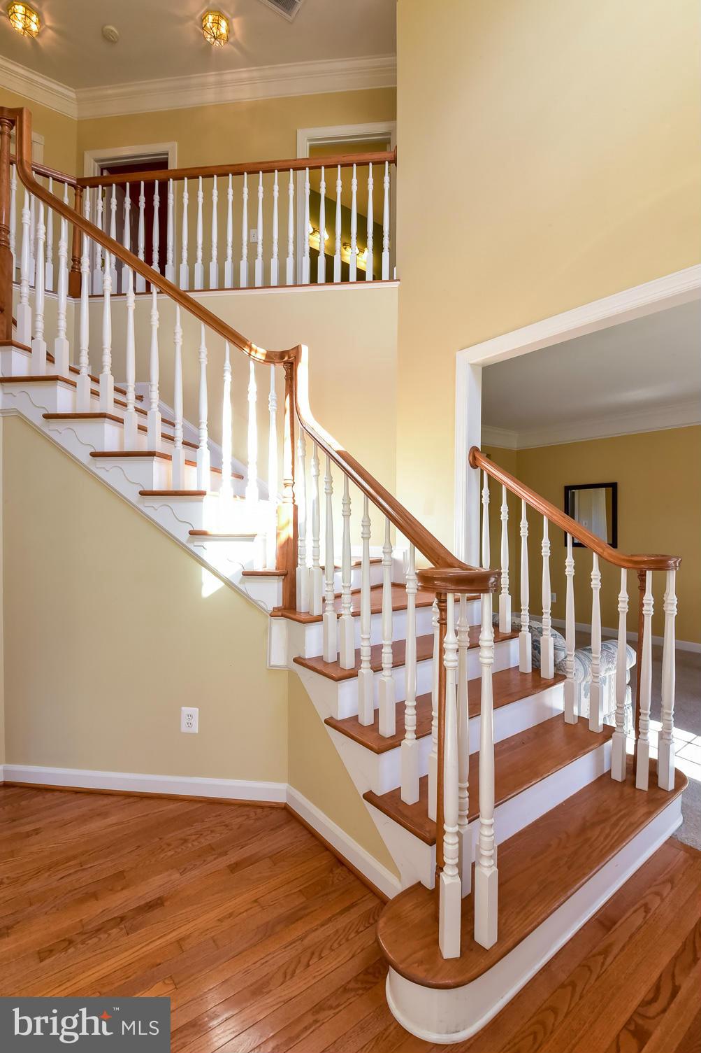 THE WOODS AT WARRENTON - Residential