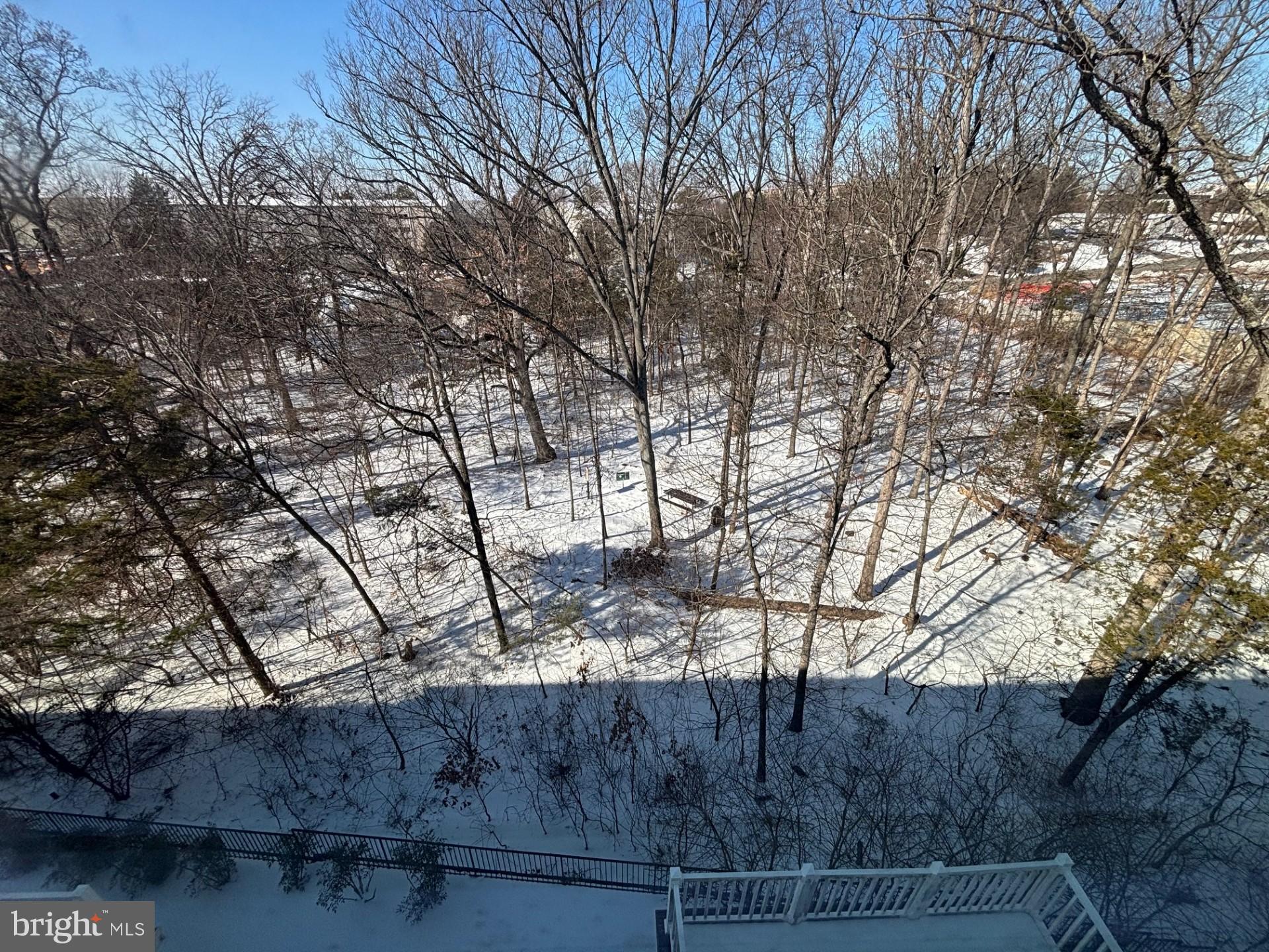 45768 WINDING BRANCH TERRACE