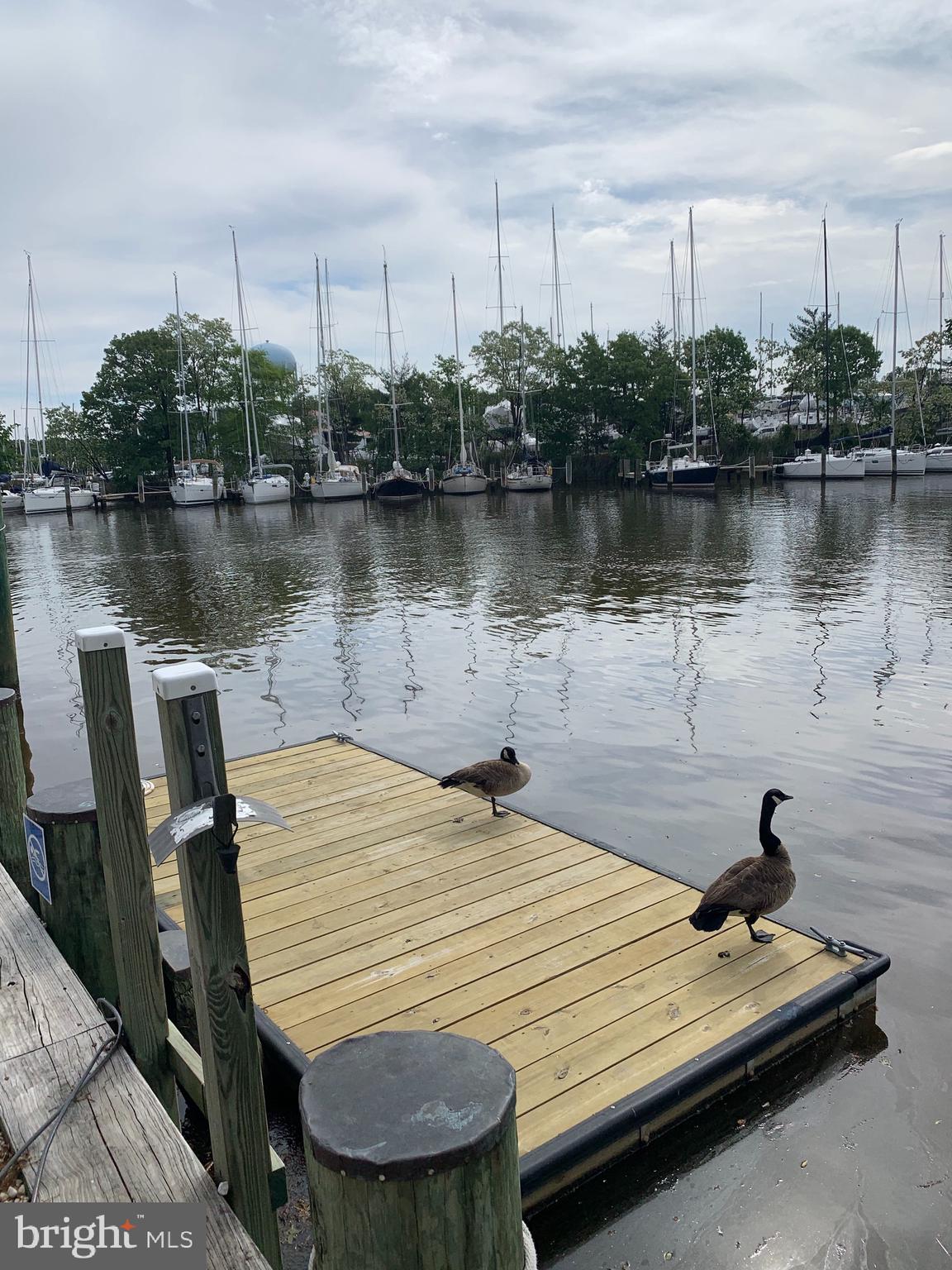 SEVERN HOUSE - Residential