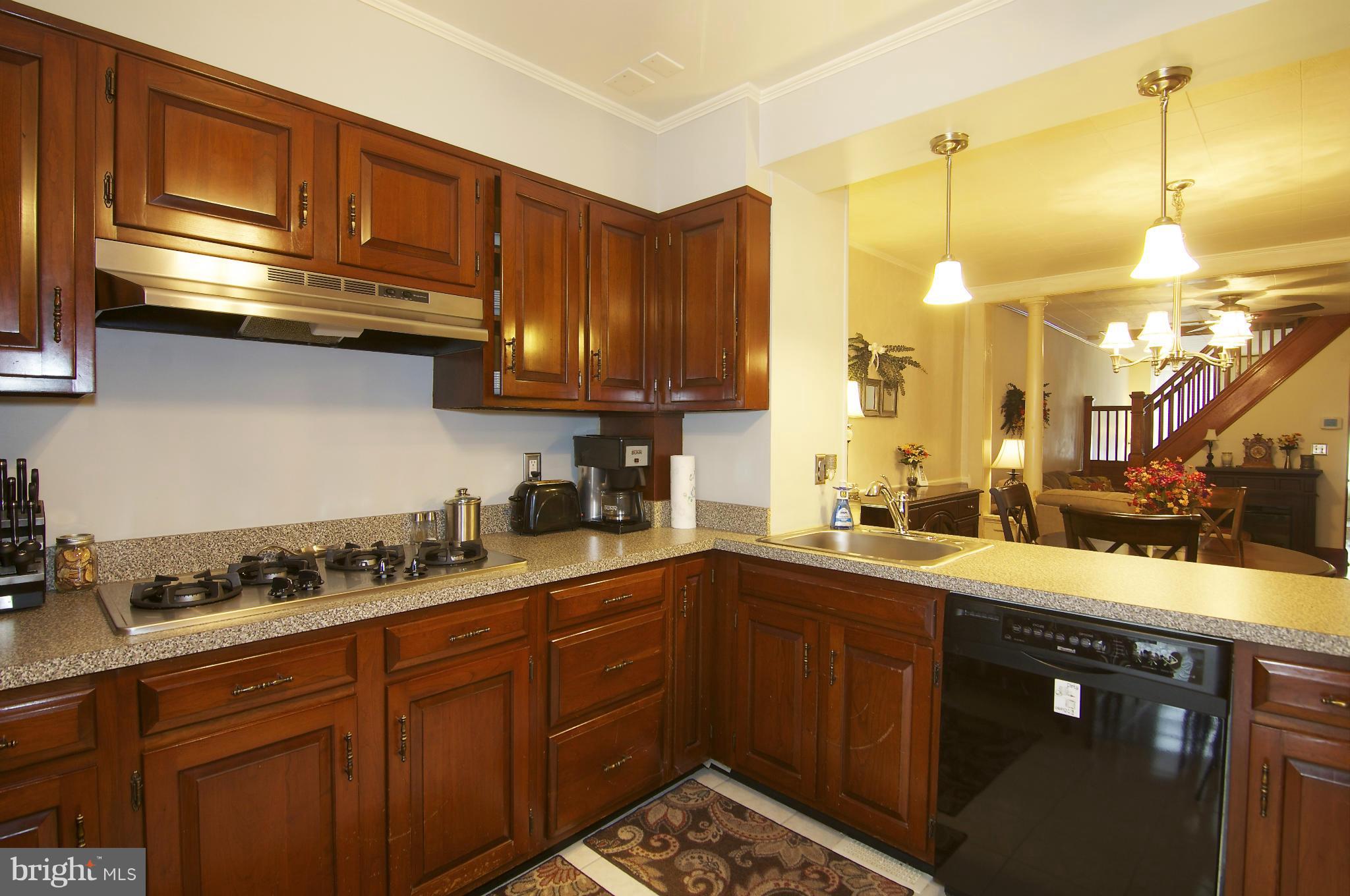 LOCUST POINT - Residential