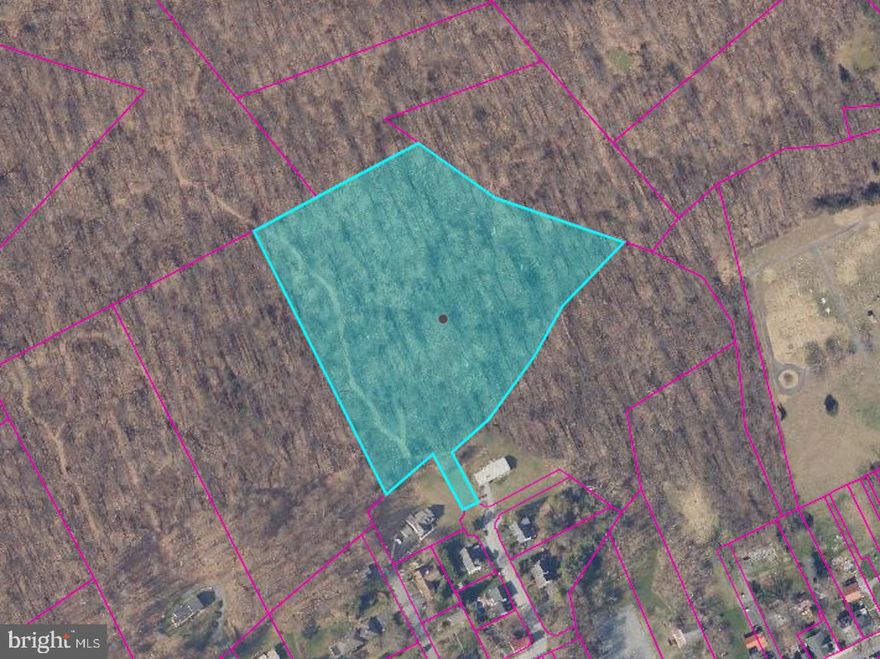 Nine acres of land with driveway access in Adamstown Boro. Bring your vision and your own builder and make your dreams a reality. Whether you’re envisioning a custom-built home, or simply a peaceful retreat, this property provides endless potential. Enjoy the charm of Adamstown living while staying close to major routes, shopping, and dining. This is your chance to own a substantial piece of land in a prime location—bring your ideas and make it your own!