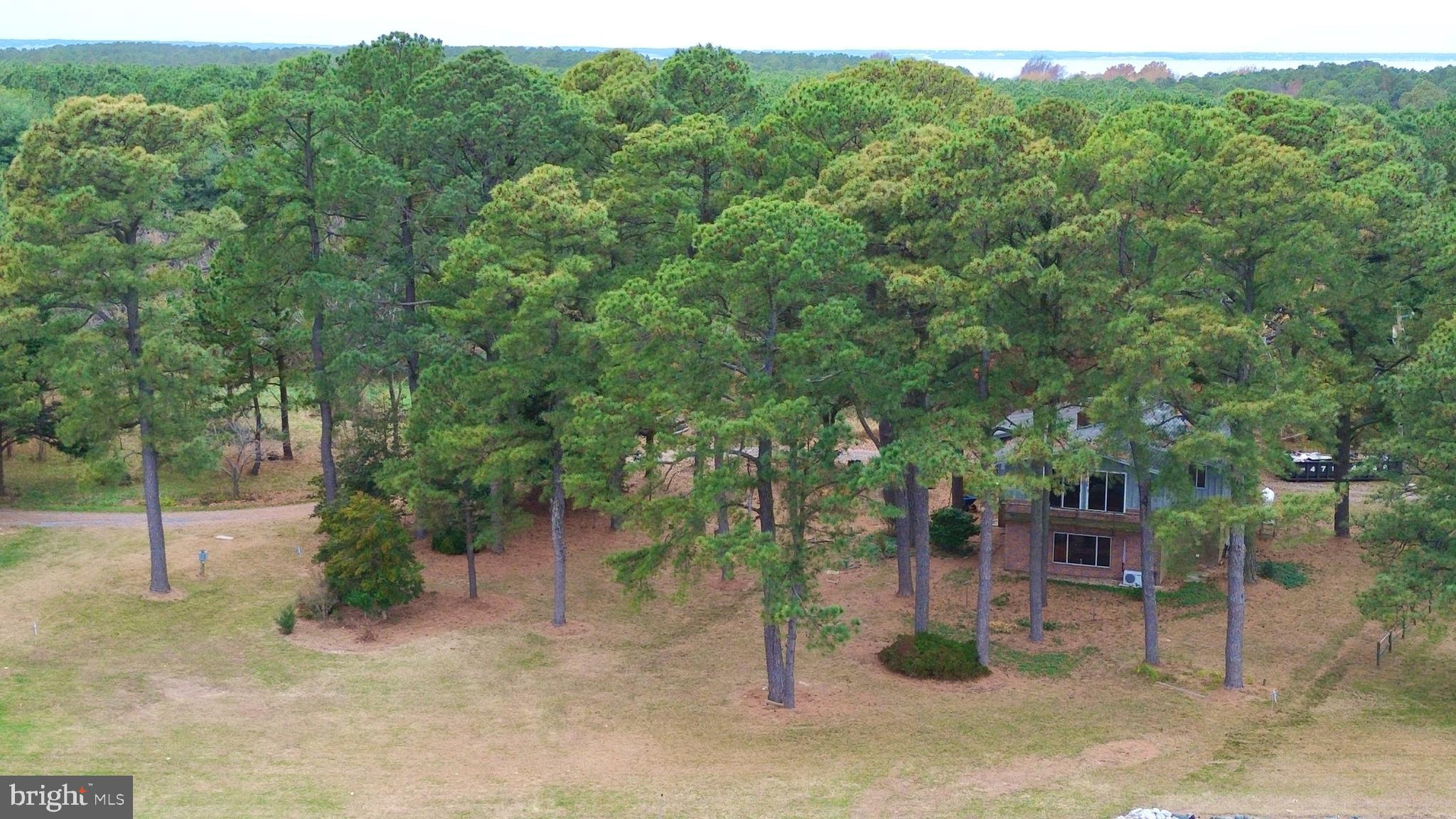 TILGHMAN ISLAND - Residential