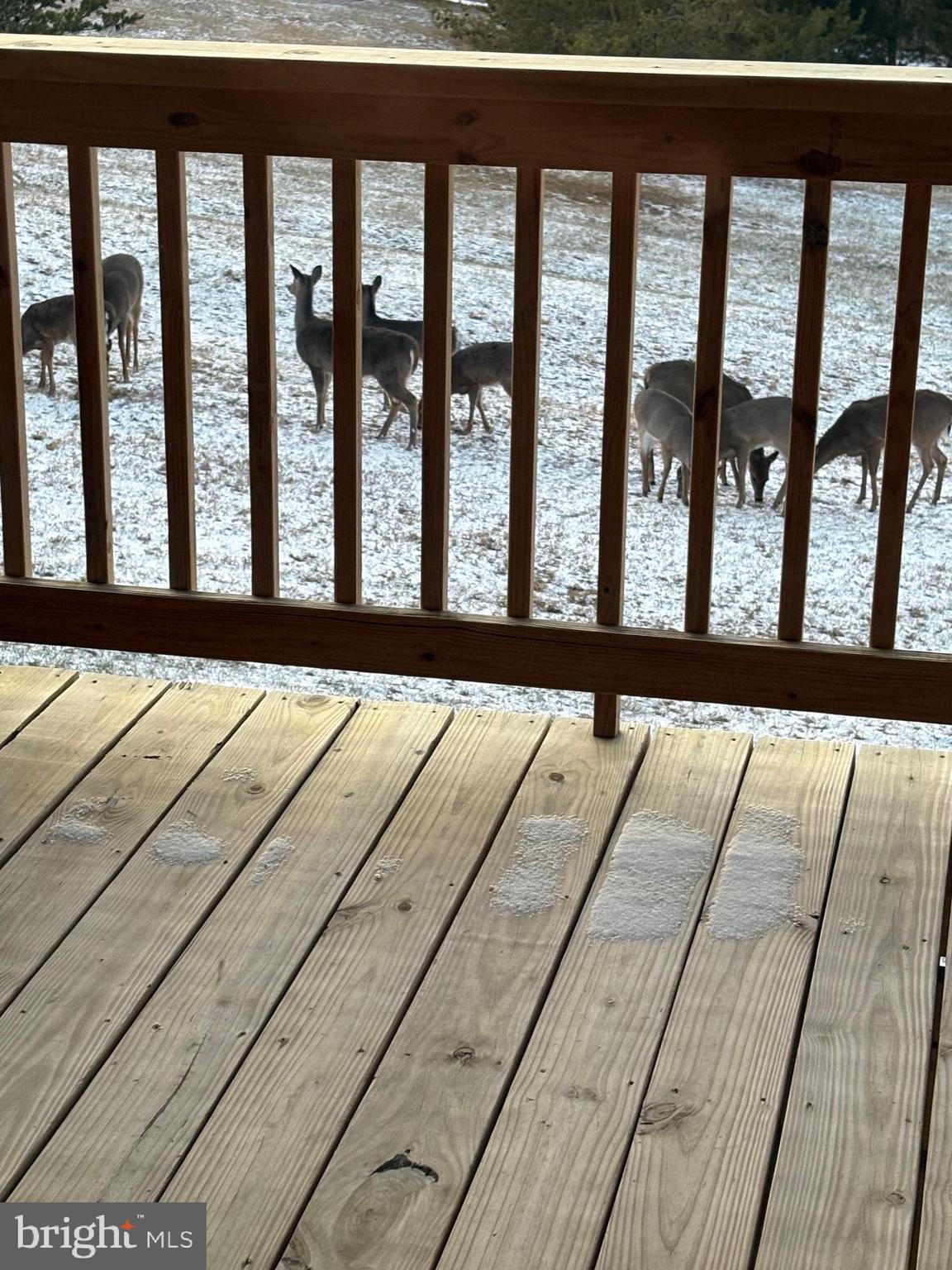 DERBYFIELD - Residential