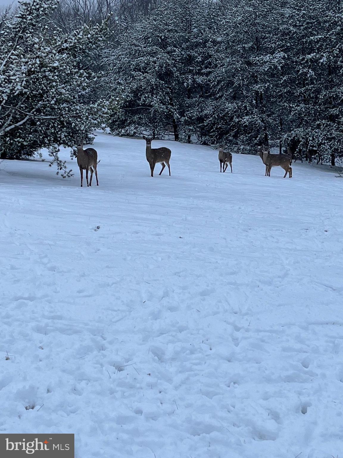 DERBYFIELD - Residential