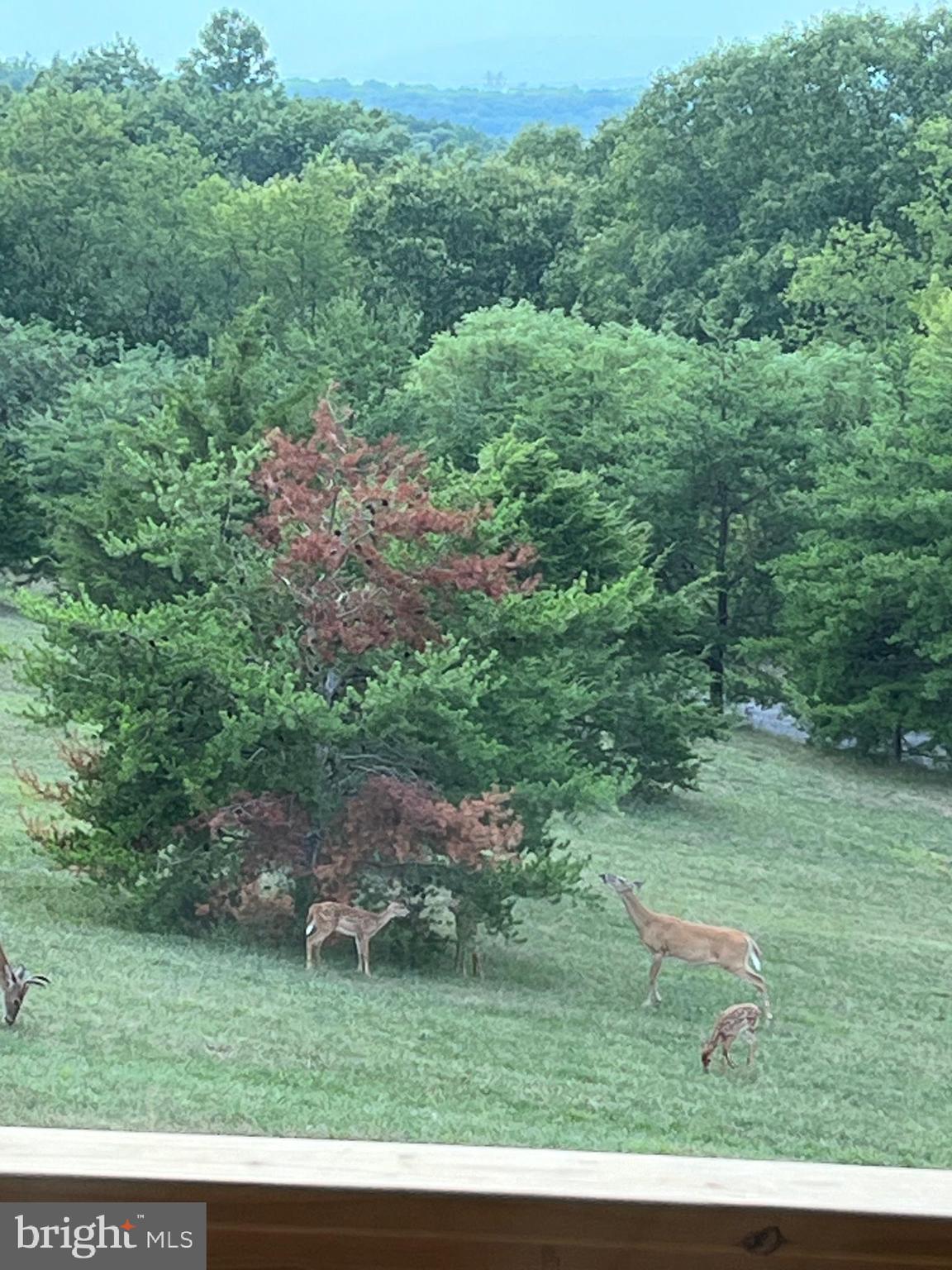 DERBYFIELD - Residential