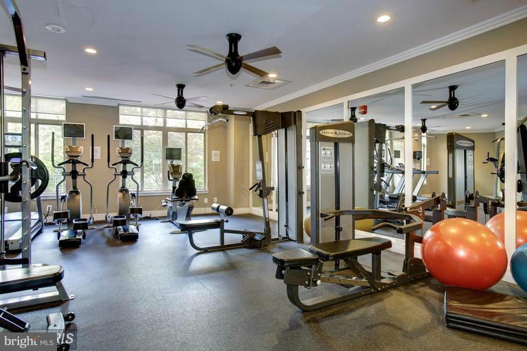 ELAN AT EAST MARKET - Residential