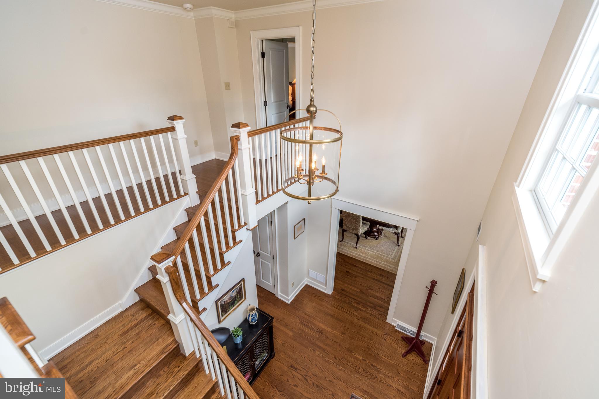 BLUE BELL - Residential