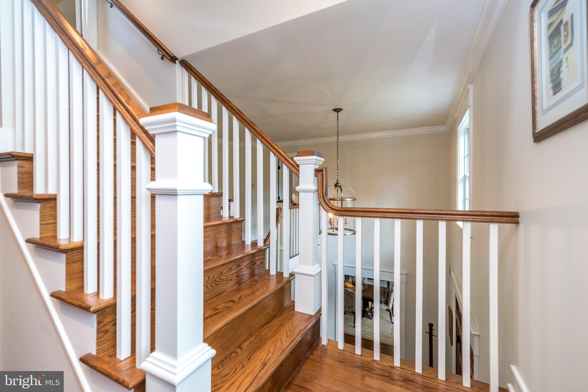 BLUE BELL - Residential