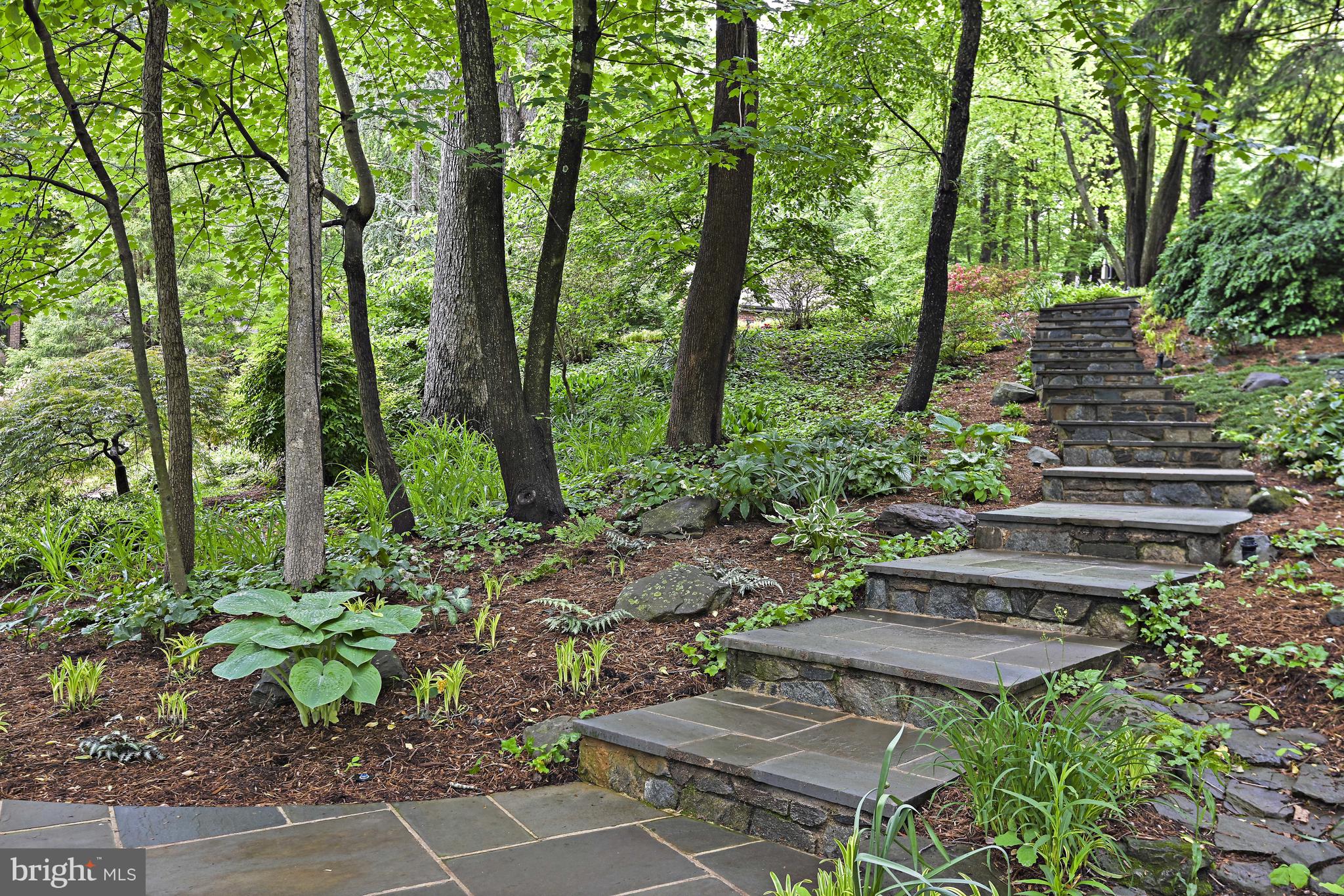 RESTON - Residential